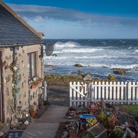Pew With A View - Seafront Cottages Sandhaven Eksteriør billede